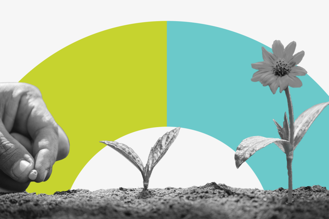 A hand being shown planting flowers in soil
