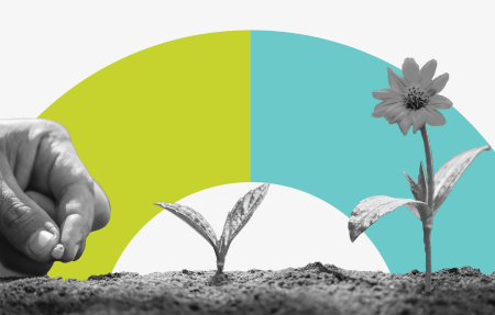A hand being shown planting flowers in soil