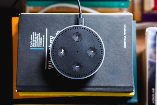 Overhead view of an Alexa device