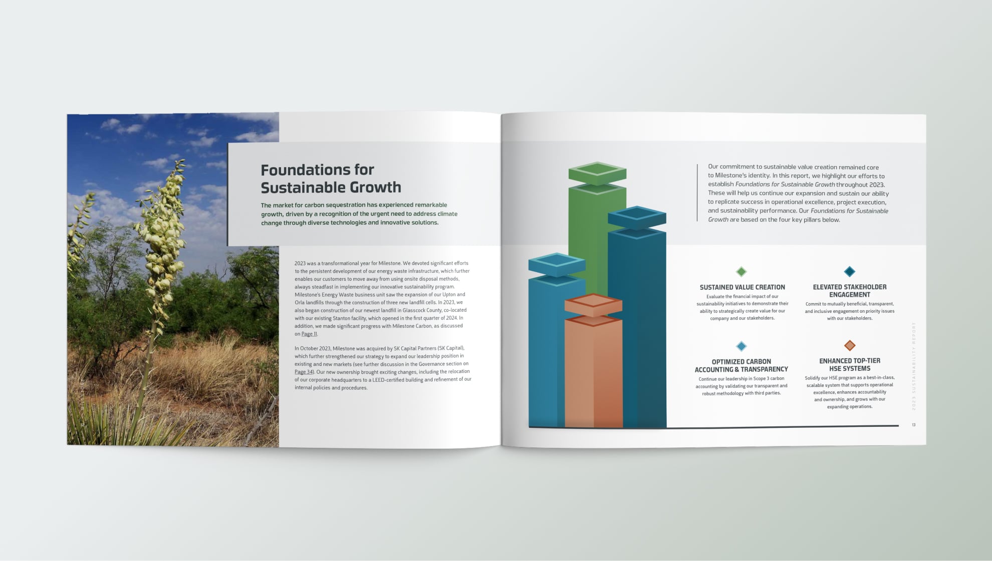 Open Foundations for Sustainable Growth report spread showing a desert plant photo on the left and 3D bar‑chart pillars illustrating four sustainability pillars on the right.