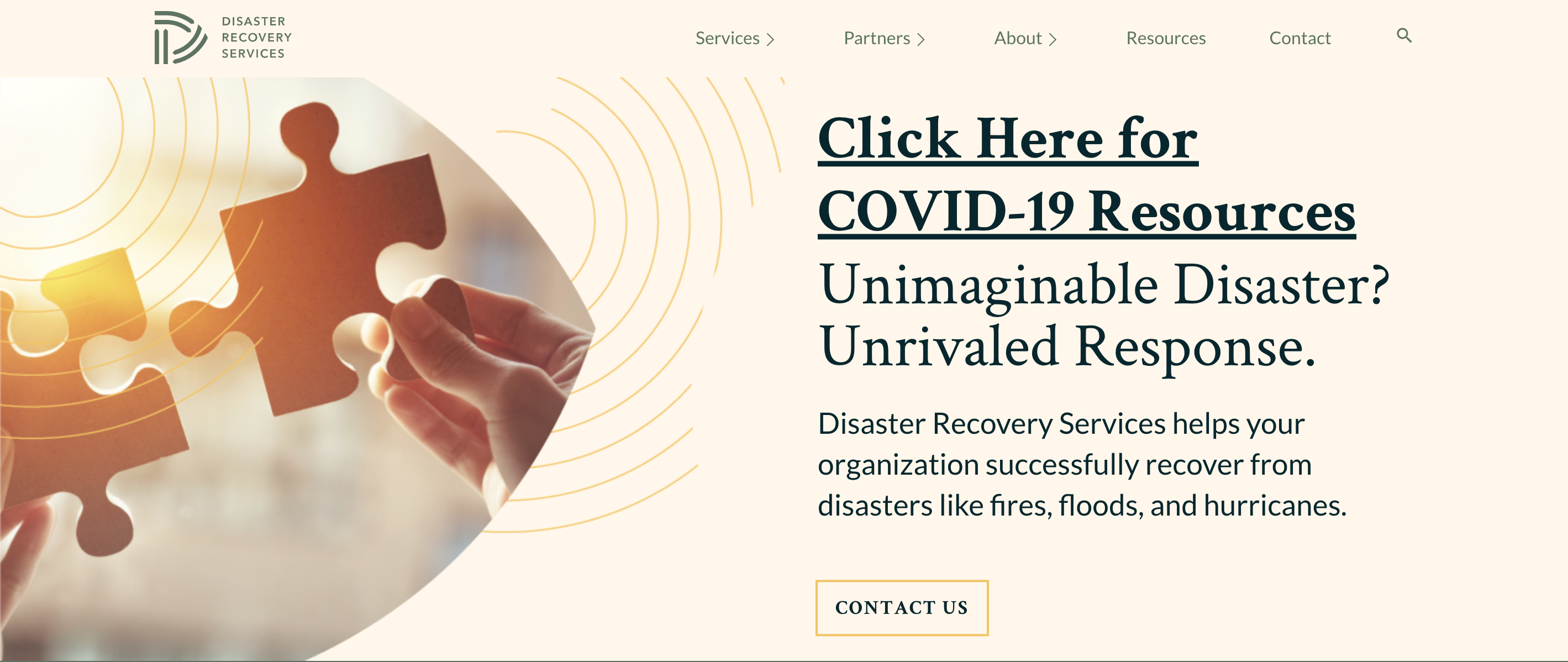 The New Disaster Recovery Service website.